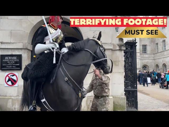 Terrifying Moment: Horses Freak Out and Run Towards Tourist — See What Happens NEXT!