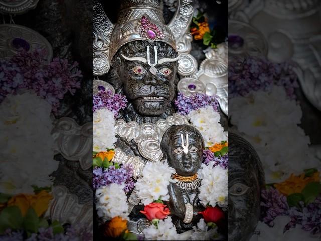 Shri Narsingh Bhagwan #shreekrishna #narsi_ka_bhat #shreeradhe #harekrishna #iskon #hindugod