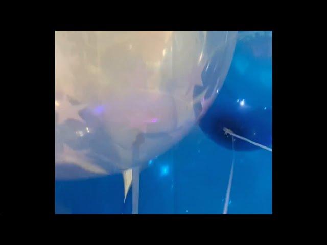 Qualatex 24 inch helium balloons in a bouquet