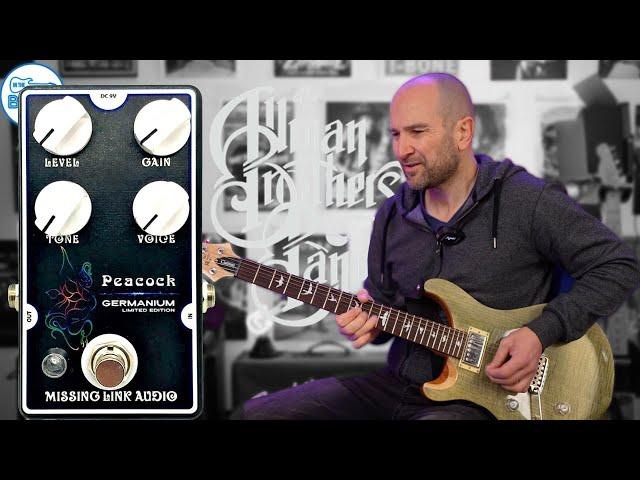 Missing Link Audio Peacock Germanium Overdrive (Limited Edition) Pedal Review