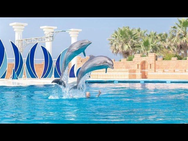 Sealanya Dolphin Park / Alanya Turkey 2024