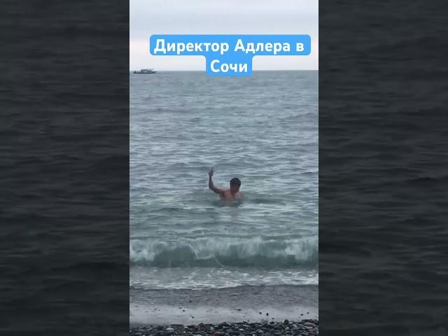 Директор Адлера в Сочи