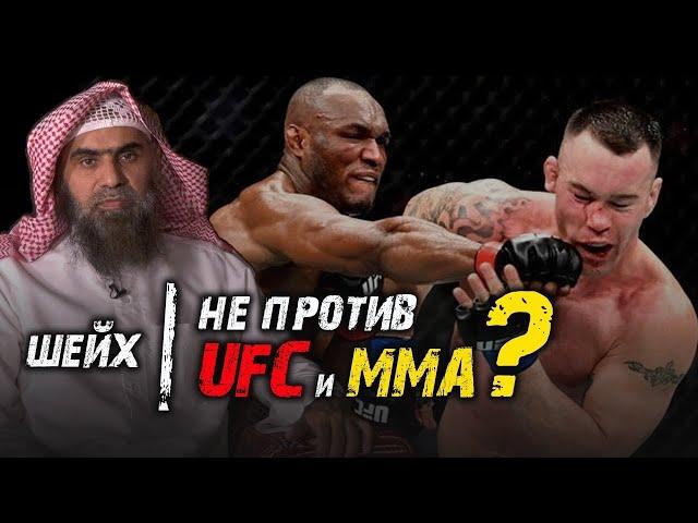 UFC | Бои без правил | Дозволено или нет мусульманам?