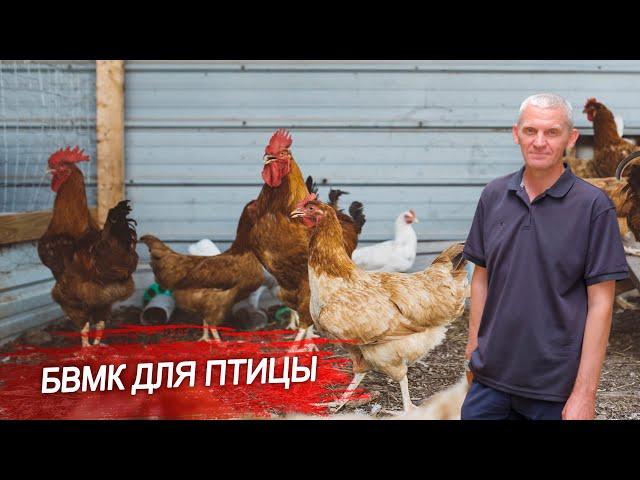 Витамины для кур (БВМК).Как повысить продуктивность птицы с помощью БВМК?Пропорции БВМК и зерна.