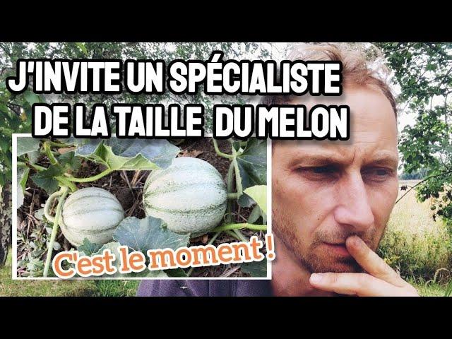 J'invite UN SPÉCIALISTE de la TAILLE DU MELON !