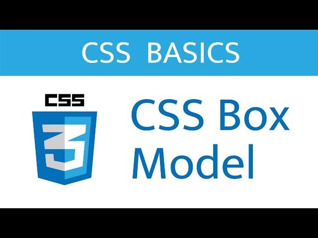 The CSS Box Model // CSS Basics