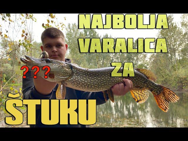 Varalice za štuku - naš izbor