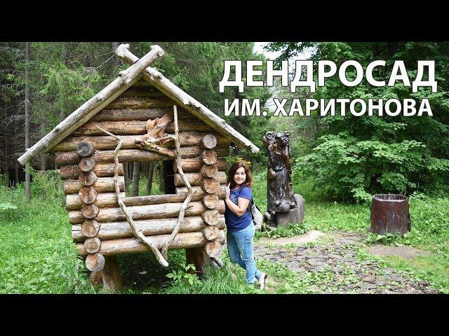 ДЕНДРОСАД В ПЕРЕСЛАВЛЕ-ЗАЛЕССКОМ. Что мы там увидели?