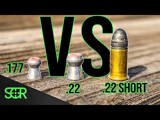 Break Barrel POWER with EXPLODING PELLETS VS .22 RIMFIRE!