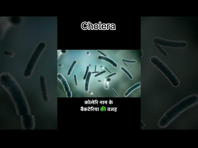 cholera #haija #disease  #GIT #health #facts #shorts  #viral