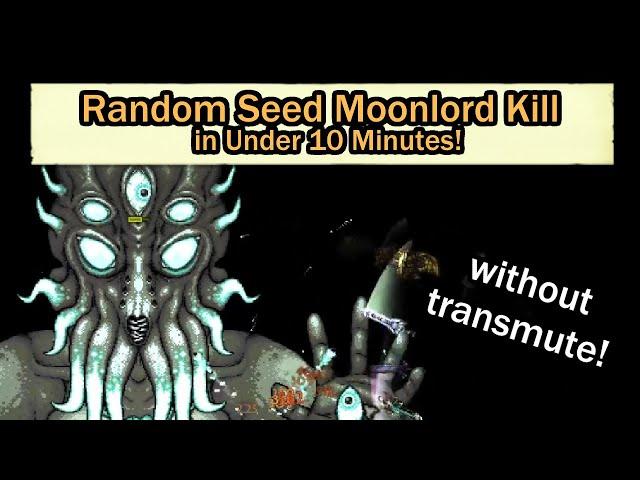 The INSANE New Terraria Moonlord Speedrun... (Unseeded Sub 10)