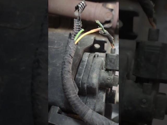 2009 F150 canister vent valve SOLENOID. Location, repair.