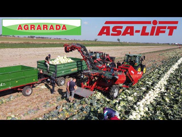 ASA-LIFT TC-1010E Ciągany kombajn do kapusty przemysłowej. Trailed cabbage harvester.