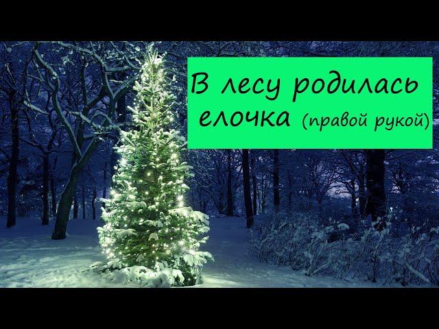 В лесу родилась елочка на пианино правой рукой