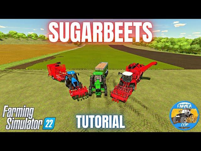 HOW TO GROW SUGARBEETS - Farming Simulator 22