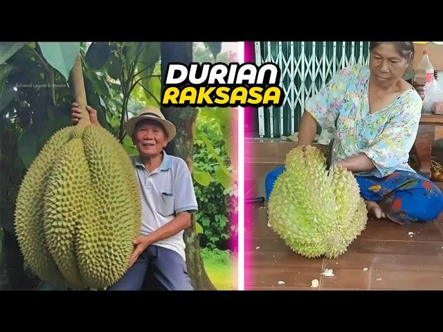 1 BUAH BISA BUAT SEKAMPUNG!! Ini 8 jenis Durian Paling Aneh yang Pernah Ada