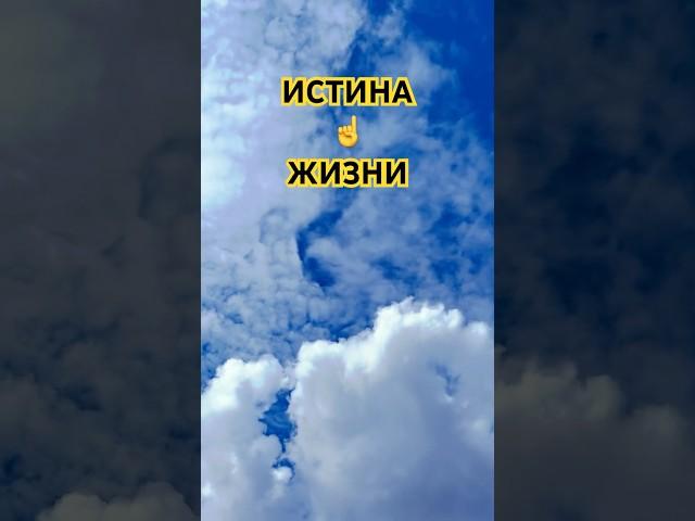 Истина жизни #shortvideo #live #жизнь #истина #мудрость #цитаты #судьба #философия #небо