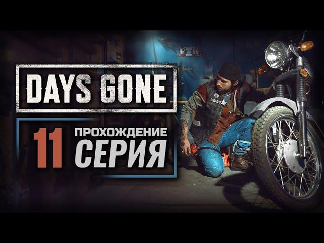 ПРОСТО БОЙНЯ — DAYS GONE | ПРОХОЖДЕНИЕ [#11]