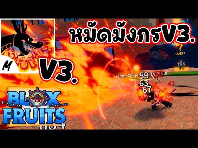 (สปอยไม่พัก) หมัดมังกรV3. - Blox Fruit