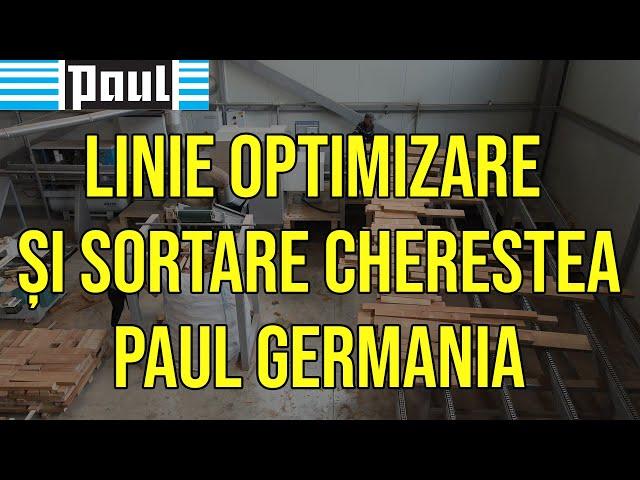 Linie optimizare si sortare cherestea - C14 Paul Germania