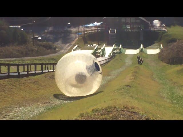 OGO at Outdoor Gravity Park Pigeon Forge - Zorbing