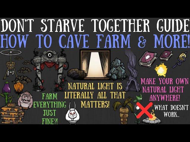 How To Cave Farm! Pigmen, Honey & More Too! - Don't Starve Together Quick Bit Guide