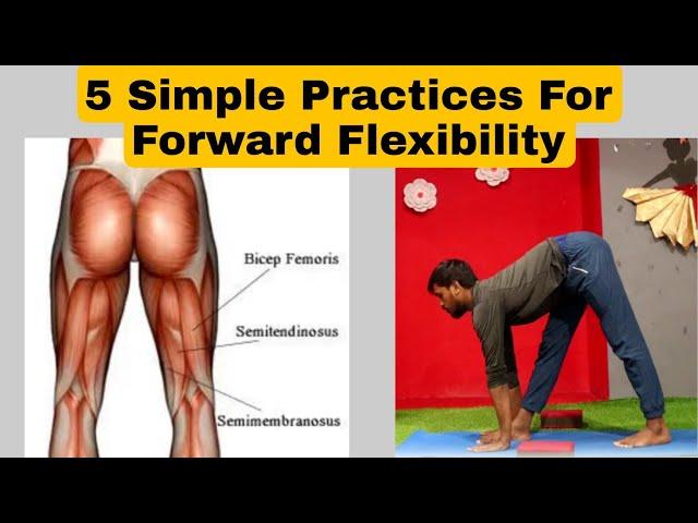 Five Practices For Forward Flexibility/Hamstring Muscles Training/Leg Muscles Practices-Yoga Saathi.