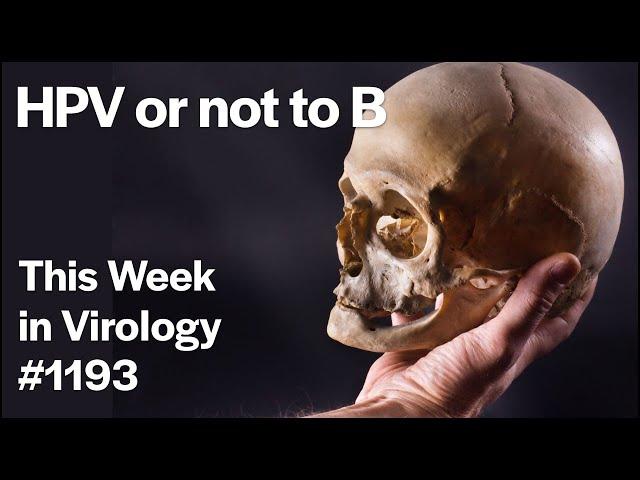 TWiV 1193: HPV or not to B