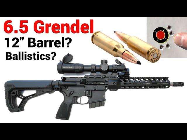 PSA 6.5 Grendel - 12" Barrel?  What can YOU expect?