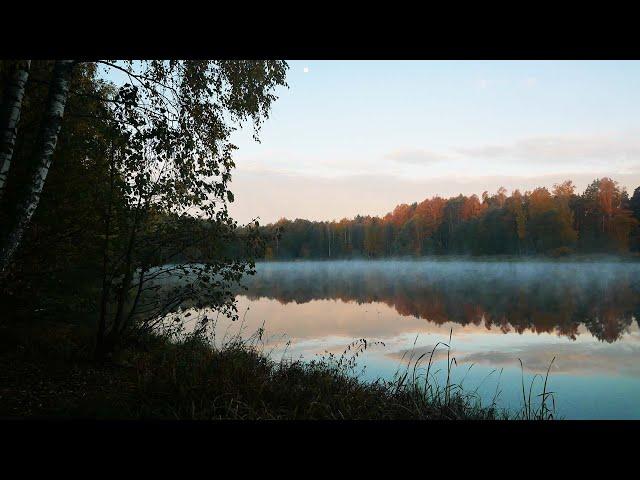 Одиночный поход с ночевкой в Подмосковье. Мороз нам не страшен!