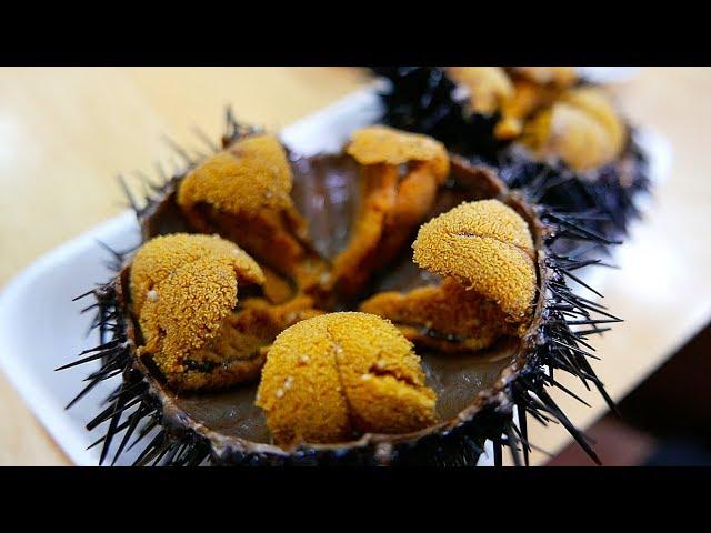 Japanese Street Food - GIANT SEA URCHIN Uni Sashimi Japan Seafood