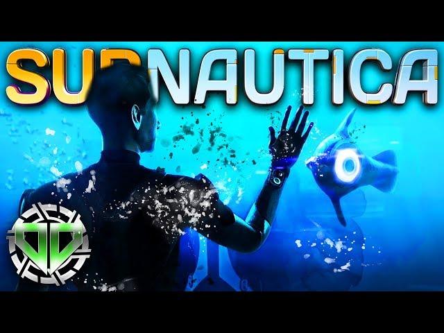 Subnautica Gameplay : The Return!  Subnautica Full Release : HD PC Let's Play