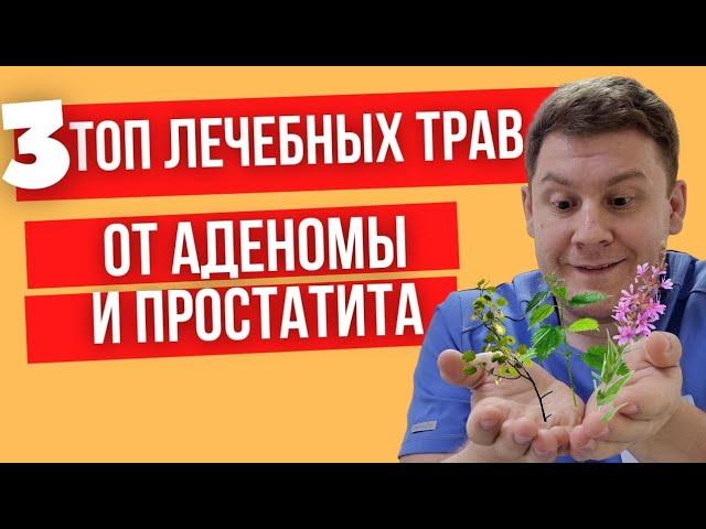 Самые эффективные лечебные травы от аденомы и простатита