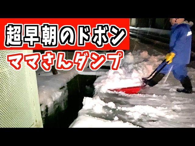 2024-12-09【速報】 今朝もママさんダンプ　魚沼アグリのケンちゃんも登場！snow removal