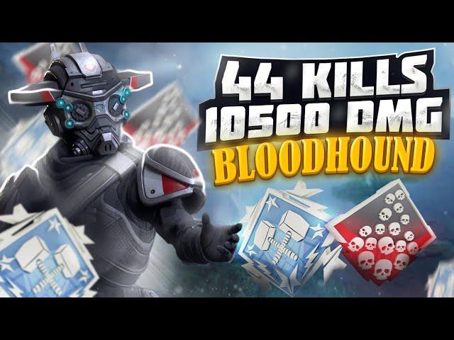 ЗР-217! 44 KILLS & 10500 DMG ON BLOODHOUND.EXE, FOR 2 GAMES бладхаунд гайд апекс легенд apex legends