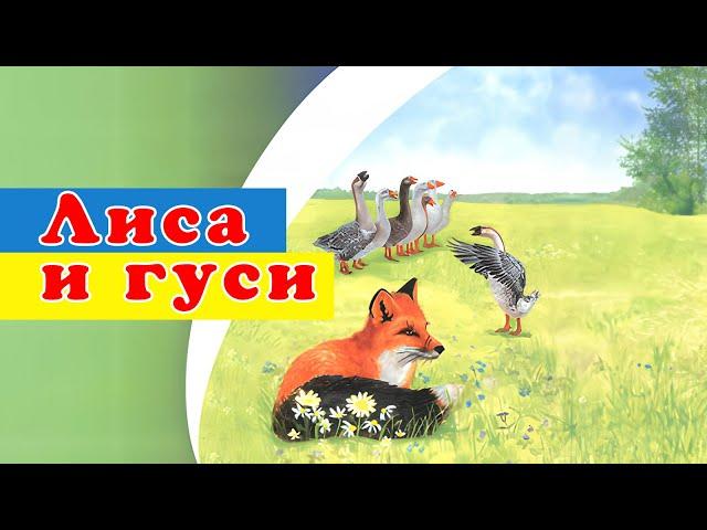 Лиса и гуси - Мультфильм