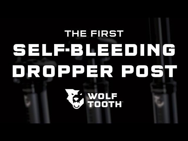 Wolf Tooth Resolve Dropper Post Introduction