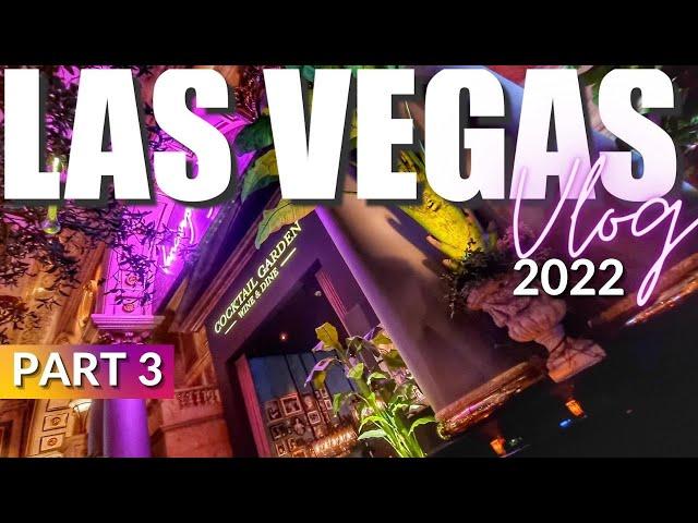 LAS VEGAS VLOG 2022 PART 3