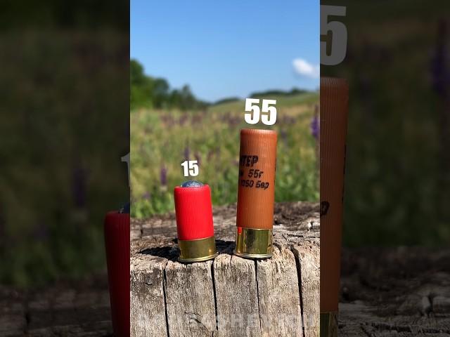 RECOIL AND DAMAGE #shotgun #asmr #bullet #buckshot #gun #hunter #usa #shooting #test