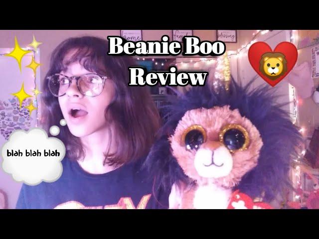 Beanie Boo Review!