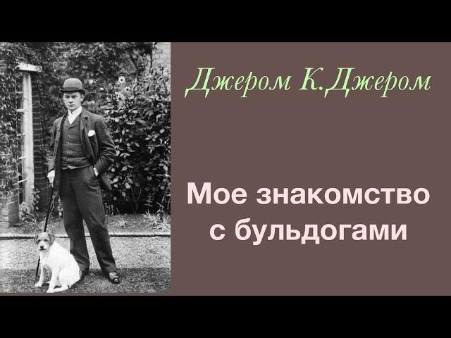 Мое знакомство с бульдогами. Джером К. Джером. Рассказ. Аудиокнига.