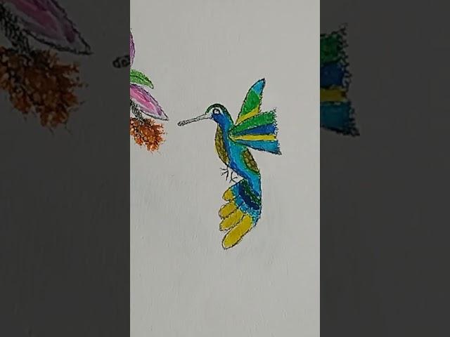 Colibri art draw