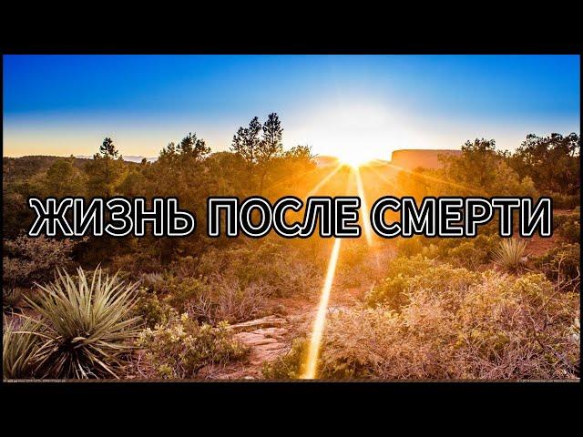 Жизнь после Смерти