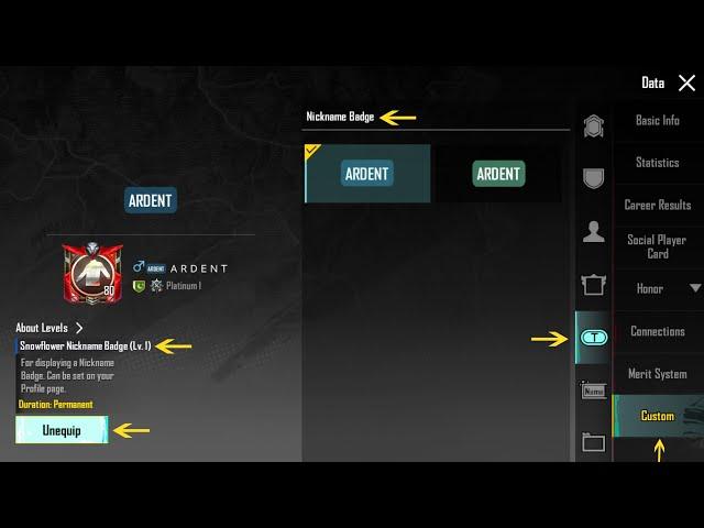 How To Change Nickname Badge In PUBG Mobile