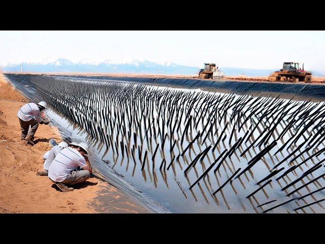 They Dumped Tons of Seeds into the Sahara Desert Sand With Zero Water and It Changed Everything