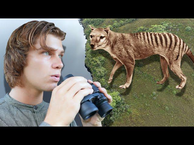 The Tasmanian Tiger (THYLACINE) is STILL ALIVE? (Documentary) Pt.1