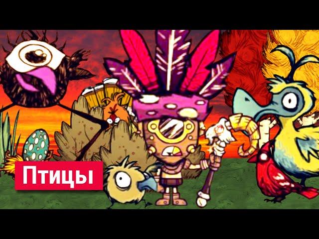 Всё о Птицах в Don't Starve.