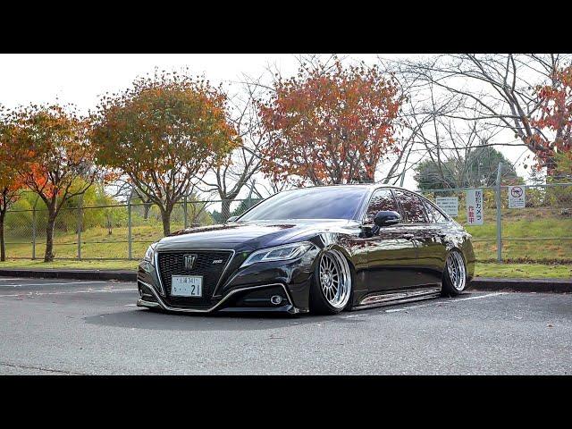 vip style × stance Bagged 220crown~yuichi~