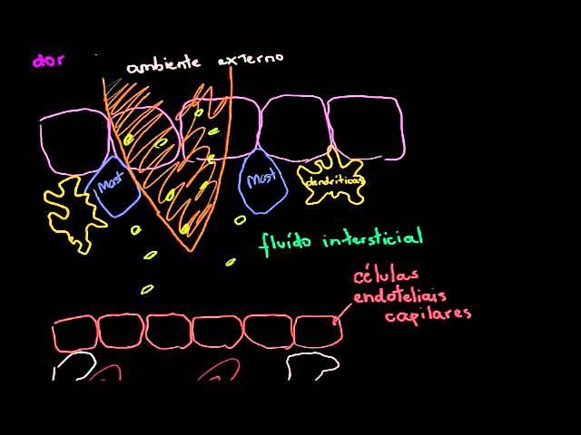 Biologia - Resposta Inflamatória (Khan Academy)