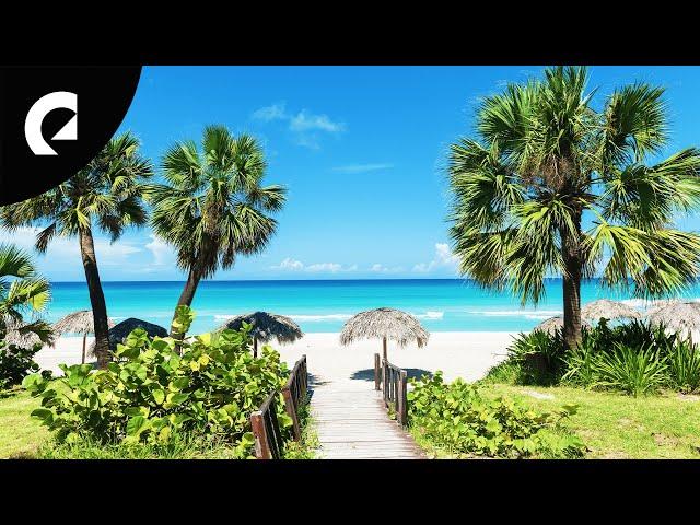 The Best Calypso Songs (1 Hour) (Royalty Free Music)